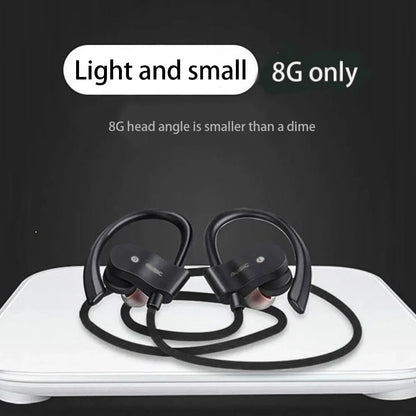 Wireless Earhook Earbuds